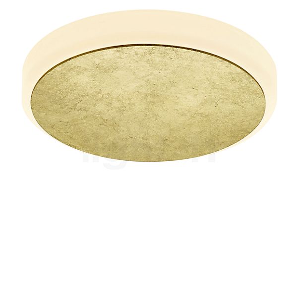 Bankamp Button Wall/Ceiling Light LED