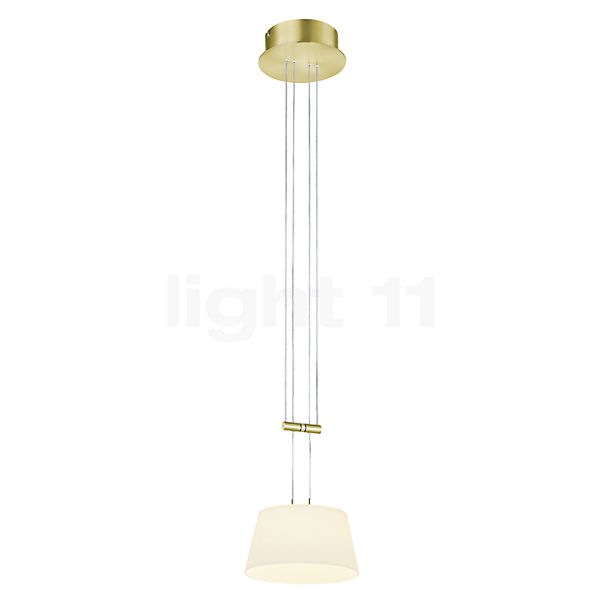 Bankamp Conus Suspension LED