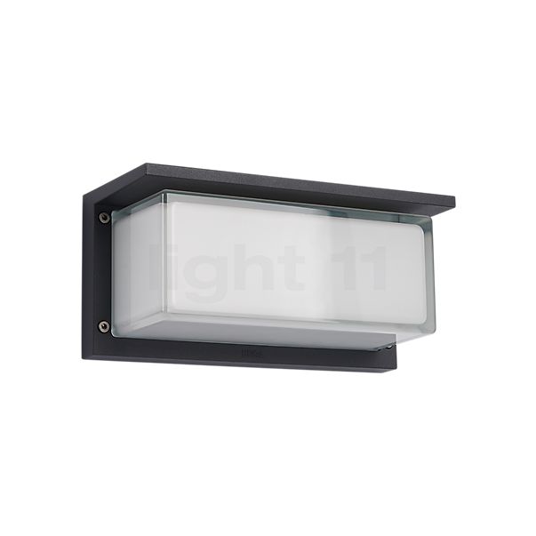 Buy Bega 33483 - wall light at light11.eu