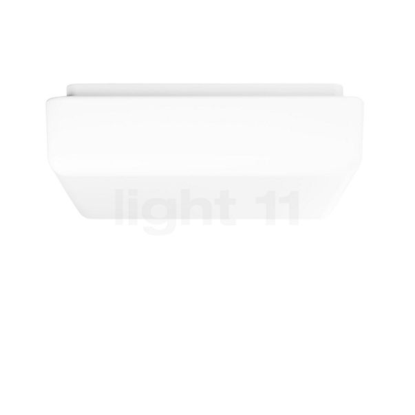 Bega 50302 - Ceiling-/Wall Light LED