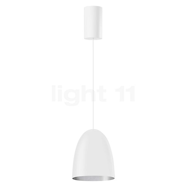 Bega 50959 - Studio Line Lampada a sospensione LED