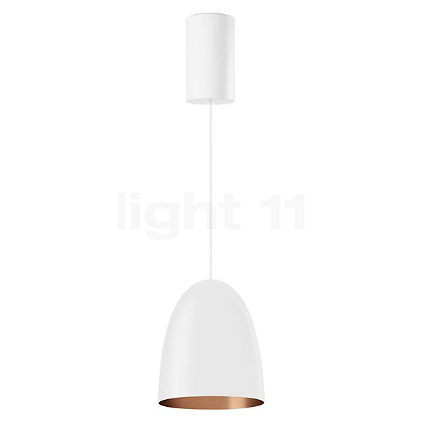 Bega 50960 - Studio Line Suspension LED cuivre/blanc, Bega Smart appli - 50960.6K3+13227