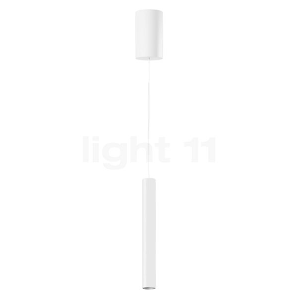 Bega 50985 - Studio Line Lampada a sospensione LED