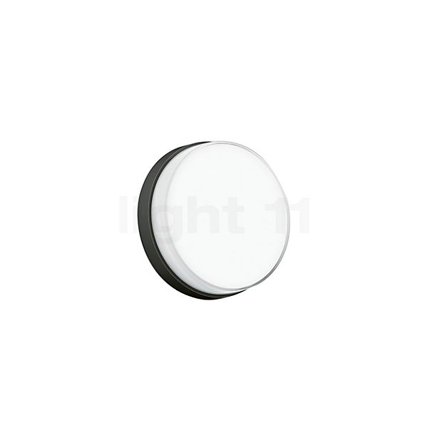 Bega 51296 - Ceiling-/Wall Light LED