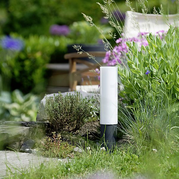Bega 84919 - UniLink® Lampe au sol LED avec piquet à enterrer graphite - 84919K3