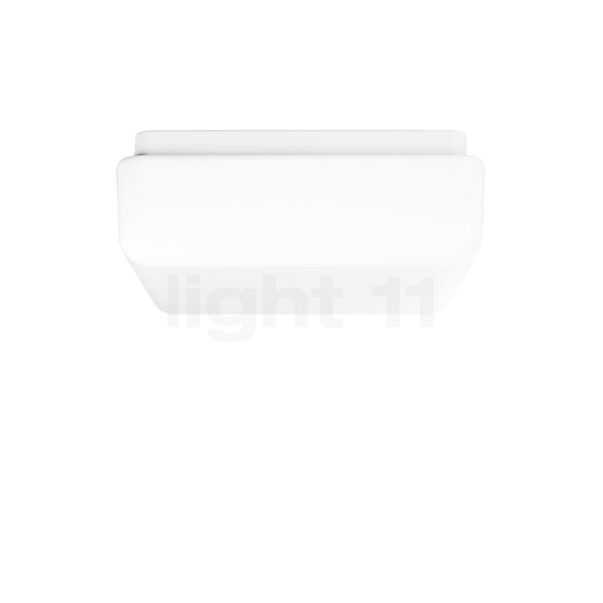 Bega Prima 50300 Plafond-/Wandlamp LED