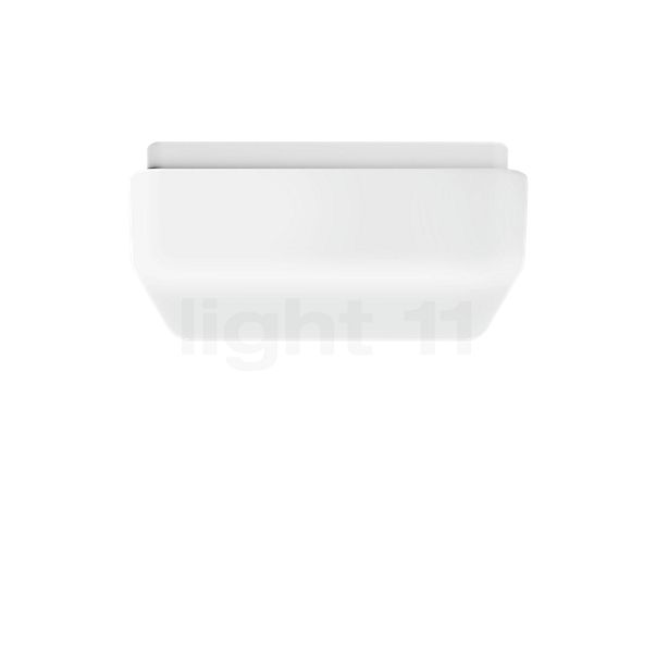 Bega Prima 50310 Wall/Ceiling Light LED with Motion Detector