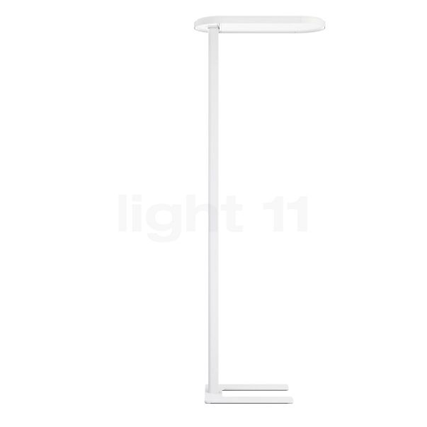 Belux Kido Lampadaire LED blanc - asymétrique - U pied - 4.000 K