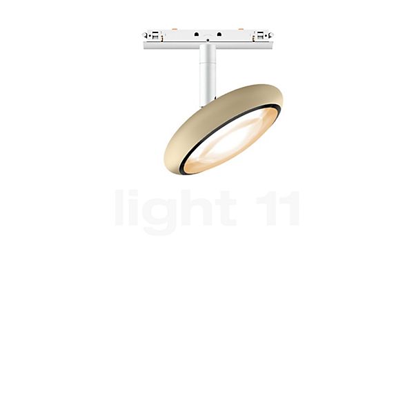 Bruck Blop Spot LED per All-in Binario champagne/bianco - 100°