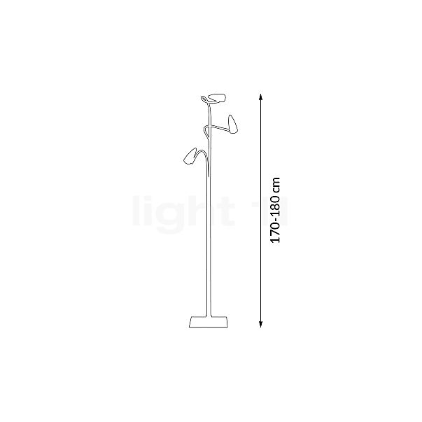 Catellani & Smith CicloItalia Flex F3, lámpara de pie blanco/latón - alzado con dimensiones