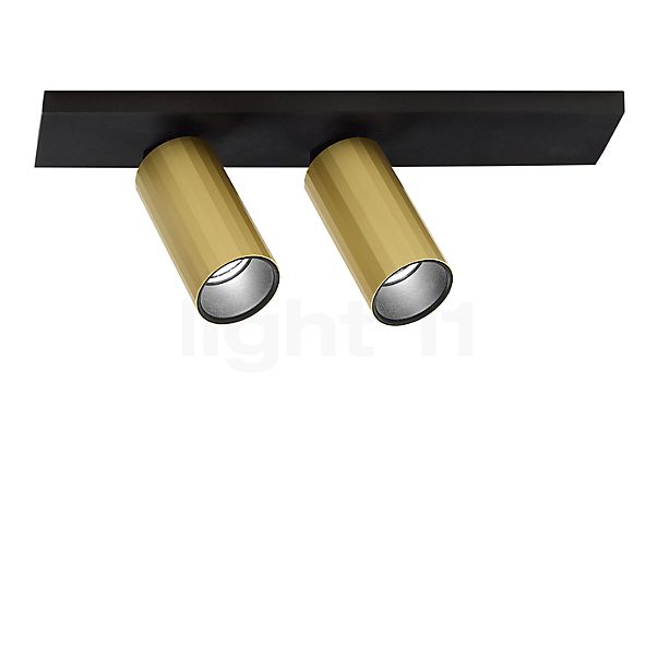 Delta Light Hedra On Lampada da soffitto 2 fuochi LED