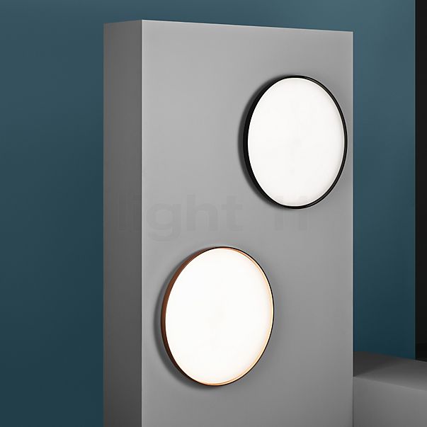 Flos Clara Color Rings At Light11 Eu Flos Clara Color Rings At Light11 Eu, Flos Clara Ceiling Lamp