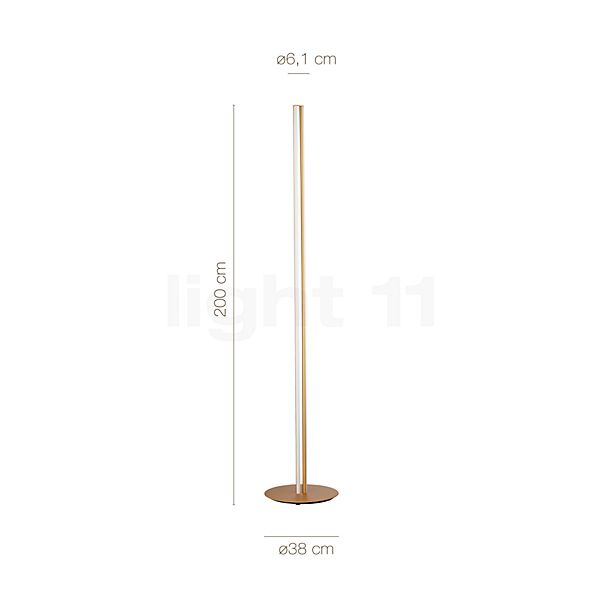 Measurements of the Flos Coordinates F Floor Lamp LED champagne anodised in detail: height, width, depth and diameter of the individual parts.