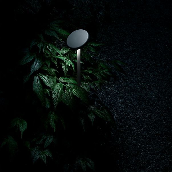 Flos Landlord Soft Buitenlamp op sokkel LED zwart - 30 cm