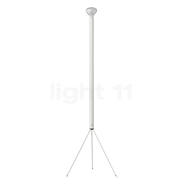 Flos Luminator