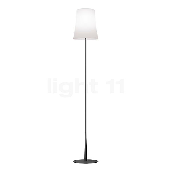 Foscarini Birdie Easy Lampada da lettura