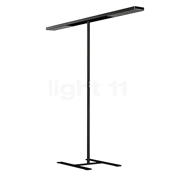 Grau Xt-a Plus Gulvlampe LED 2-flammer sort/sort