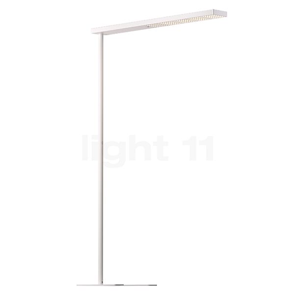 Grau Xt-a Plus Lampada da terra LED bianco/bianco - 125 cm