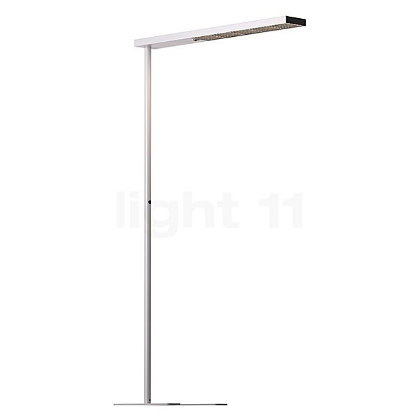 Grau Xt-a Plus Lampadaire LED satin/noir - 125 cm