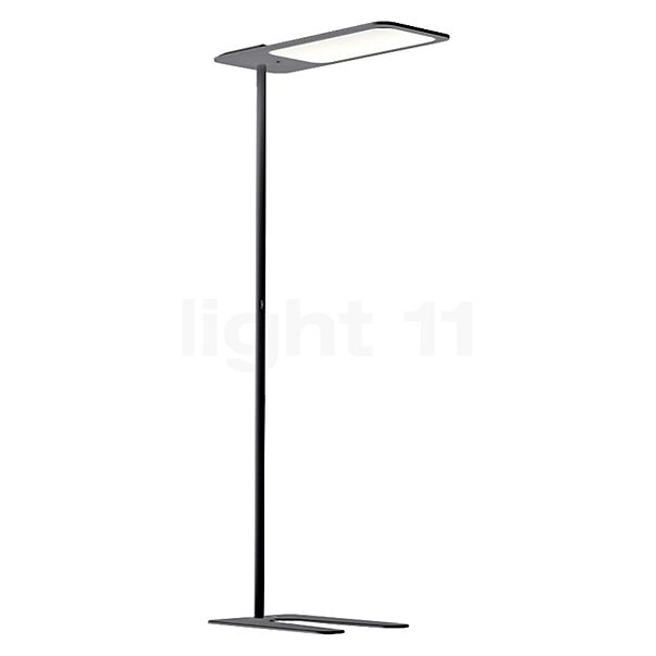 Grau Xt-s Lampadaire LED