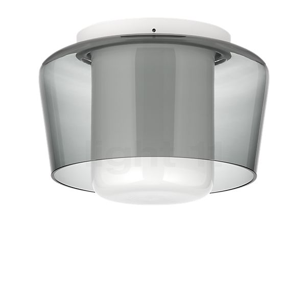 Helestra Canio Ceiling Light