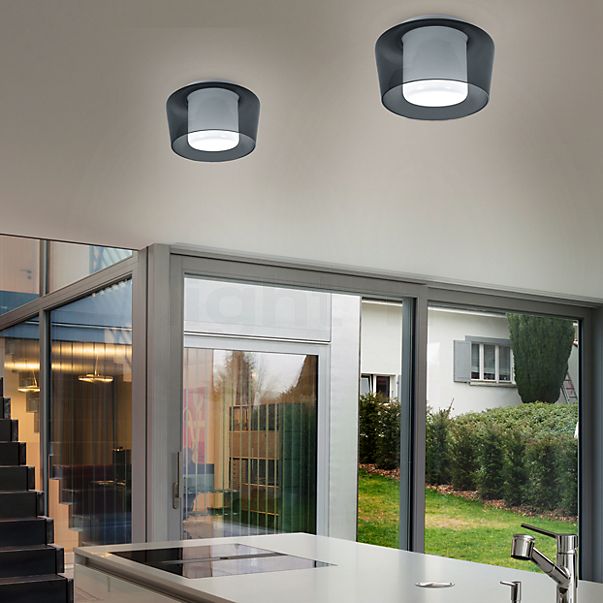 Helestra Canio Lampada da soffitto grigio