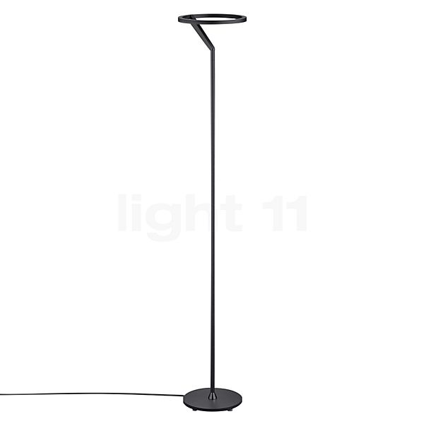 Helestra Elara Lampadaire LED noir