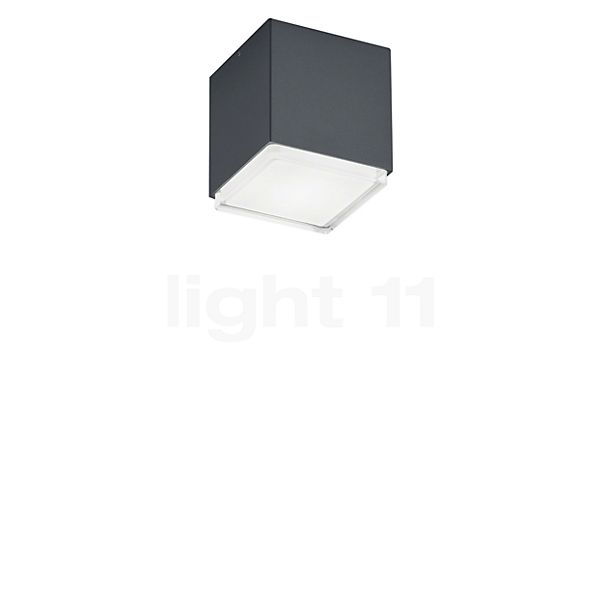 Helestra Isy, lámpara de techo LED