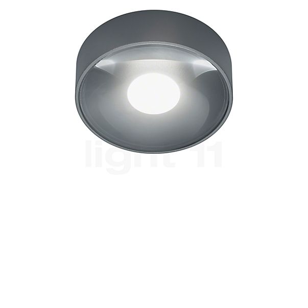 Helestra Posh Loftlampe LED