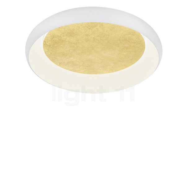 Helestra Tyra, lámpara de techo/pared LED blanco/dorado