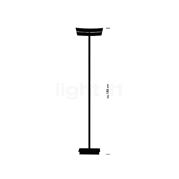 Hell Andy Floor Lamp LED 1 lamp bronze matt sketch