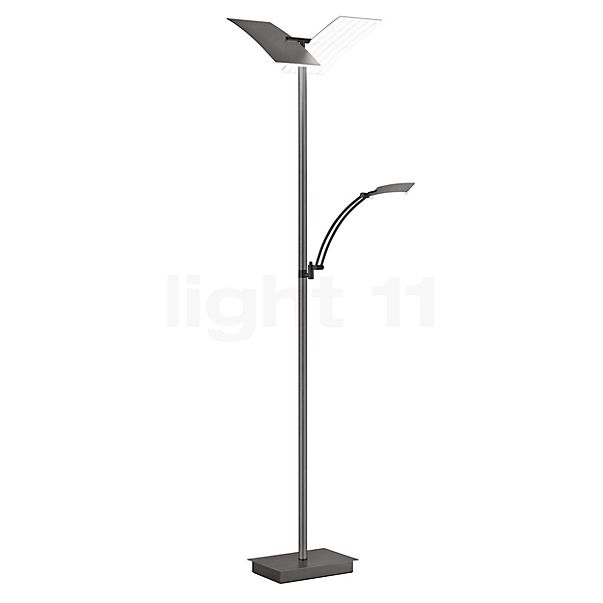 Hell Andy Vloerlamp LED 2-lichts