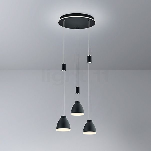 Hell Leni Pendant Light LED 3 lamps - Cluster black