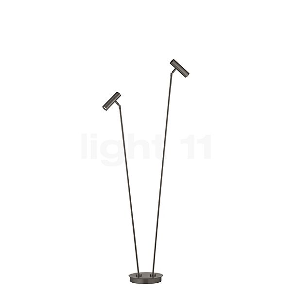 Hell Tom Pro Floor Lamp LED 2 lamps