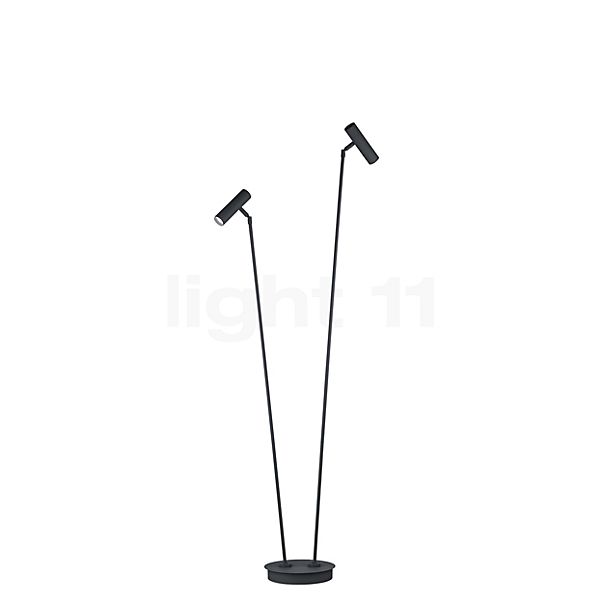 Hell Tom Pro Lampadaire LED 2 foyers