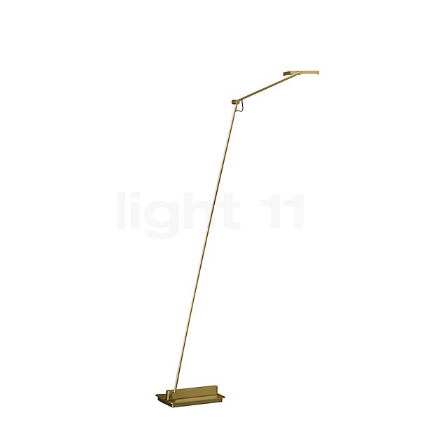 Buy Holtkotter Clea S Floor Lamp Led At Light11 Eu