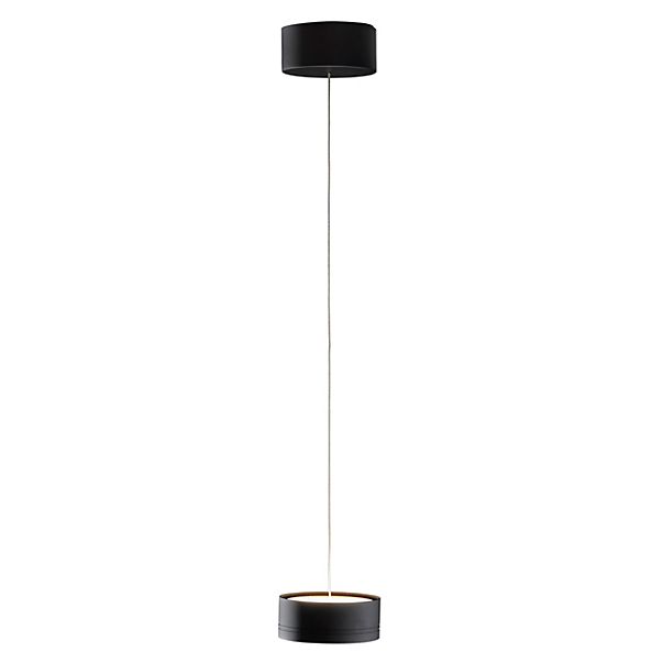 Holtkötter Favor, lámpara de suspensión LED negro