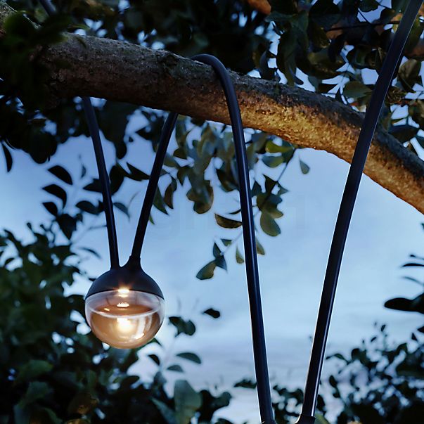 IP44.DE Cherry Bubbls Fairy lichten LED zwart - met zonnepaneel