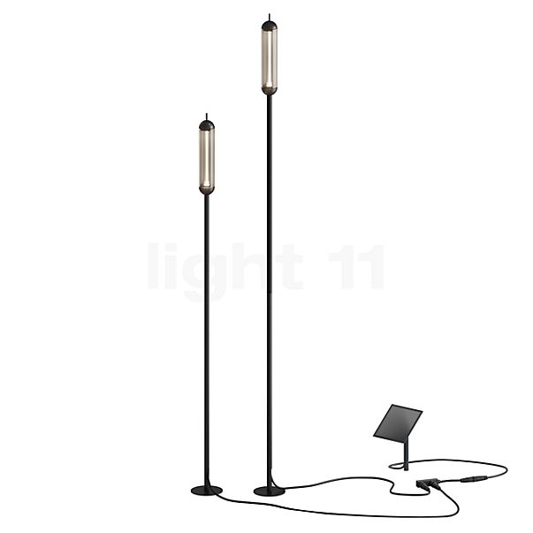 IP44.DE Reed Luci solari LED - set da 2