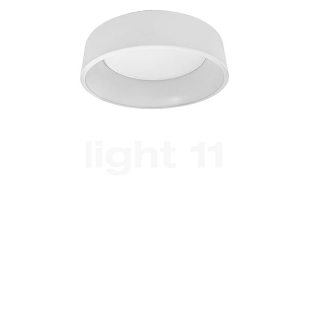 Ledvance Orbis Cylinder Plafondlamp LED Smart+ wit