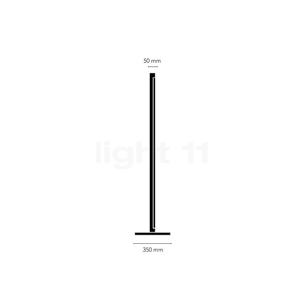 Light Point Inlay F1 Linear Lampadaire LED noir/doré - vue en coupe