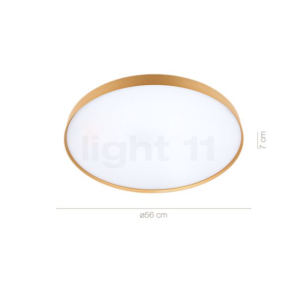 Die Abmessungen der Luceplan Compendium Plate Parete/Soffitto LED Messing im Detail: Höhe, Breite, Tiefe und Durchmesser der einzelnen Bestandteile.
