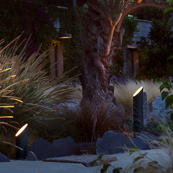 Marset Elipse, luz de pedestal LED marrón