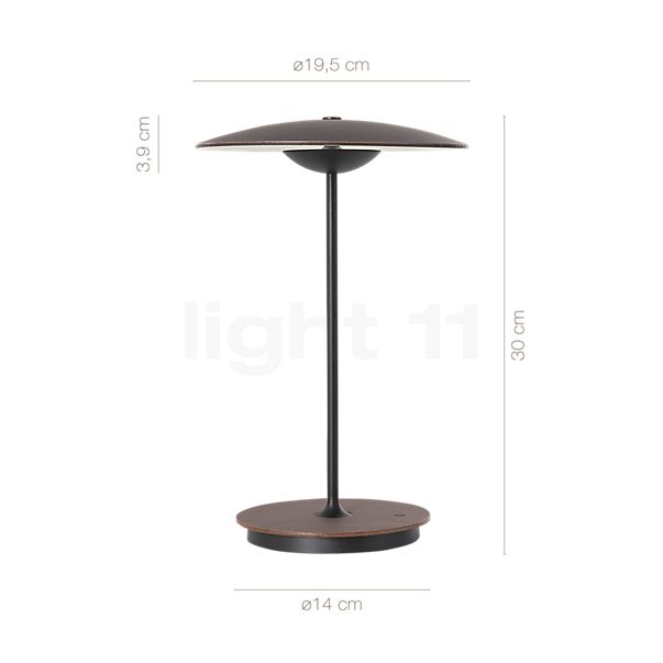 Measurements of the Marset Ginger 20 M Table lamp with battery LED wenge - with USB-C in detail: height, width, depth and diameter of the individual parts.
