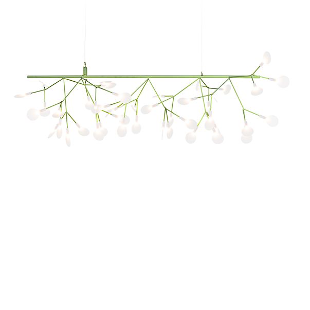 Moooi Heracleum Endless, lámpara de suspensión LED