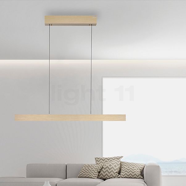 Neuhaus PURE® by Paul Neuhaus E-Motion Hanglamp LED goud