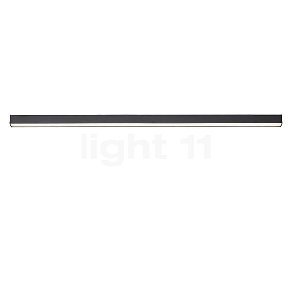 Neuhaus PURE® by Paul Neuhaus Lines Straight Plafondlamp LED antraciet