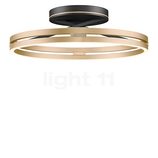 Neuhaus PURE® by Paul Neuhaus Loop Deckenleuchte LED