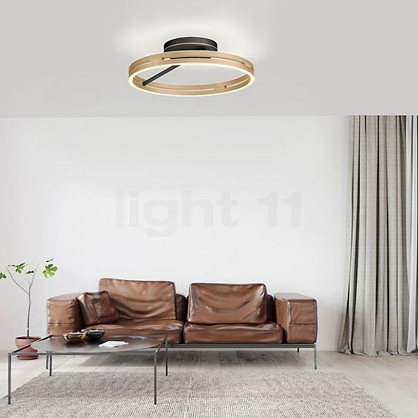 Neuhaus PURE® by Paul Neuhaus Loop Plafonnier LED noir/laiton