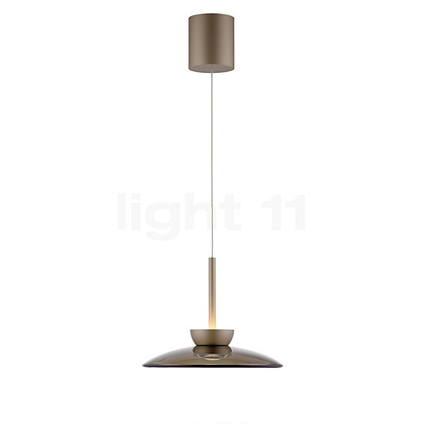 Neuhaus PURE® by Paul Neuhaus Moon Hanglamp LED 1-licht